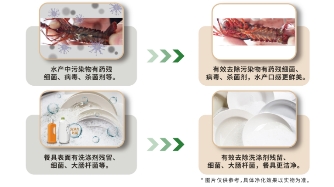 小小一臺(tái)凈食機(jī)，究竟有多大能耐？