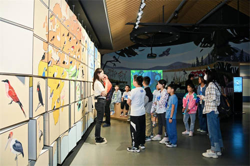 龍湖小龍人計劃：研學(xué)旅行促成長，最美課堂在路上