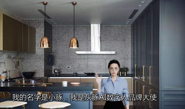 2024世界人工智能大會，灰豚AI數(shù)字人以可視化的方式迎面而來