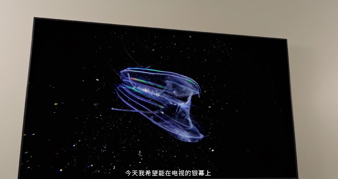 海信電視聯(lián)合8KRAW攝影師，講述好畫質(zhì)的生命力