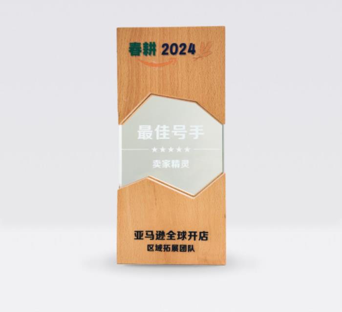 賣家精靈榮獲亞馬遜TSPN 2024年度服務(wù)商—卓越領(lǐng)航獎(jiǎng)！