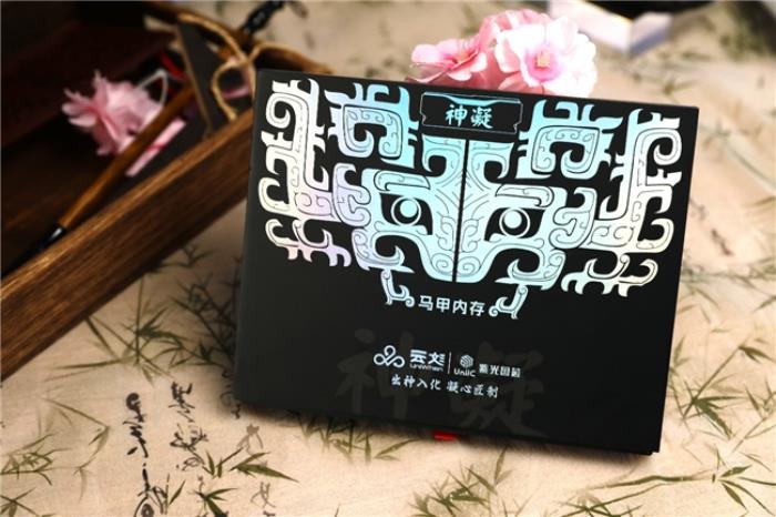 開箱評測丨銳龍7 9700X絕佳拍檔，神凝系列6000 CL28國風內(nèi)存評測