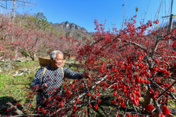 仲景宛西制藥舉辦醫(yī)圣張仲景誕辰1875周年紀念儀式