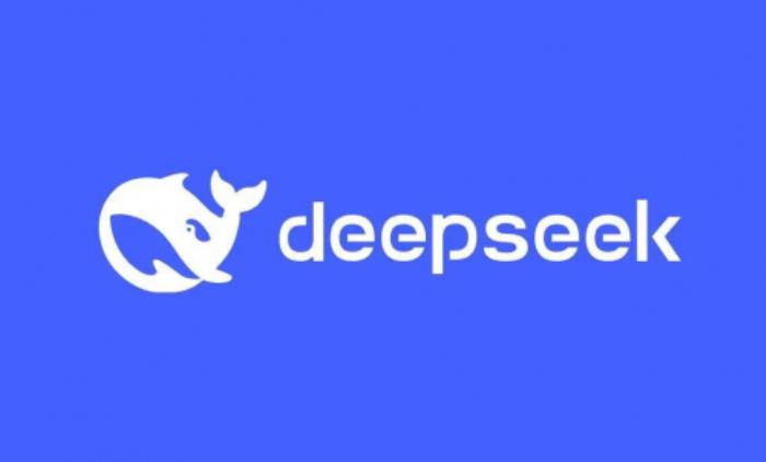 Deepseek算卦DIC 2025，今年“巳”個(gè)好年