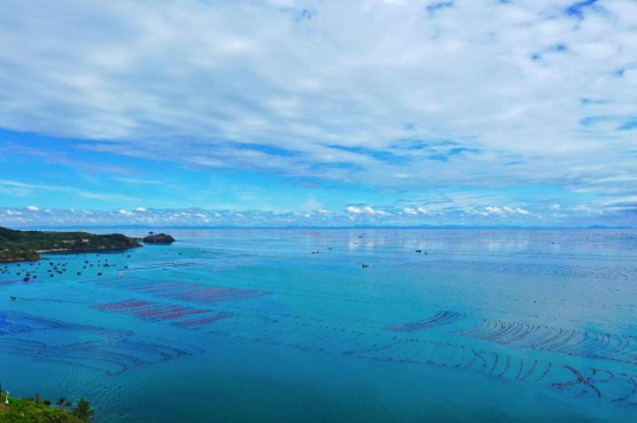 長海海螺，鮮味崛起，璀璨未來