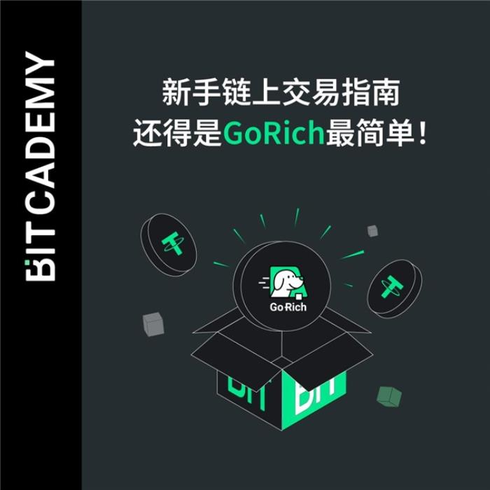 新手入場(chǎng)必備！用USDT輕松買(mǎi)鏈上Meme幣，只需GoRich