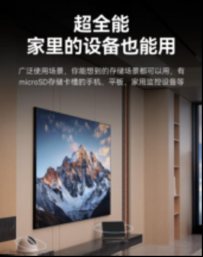 雷克沙推出Professional SILVER PLUS microSD存儲(chǔ)卡，滿足多種設(shè)備需求