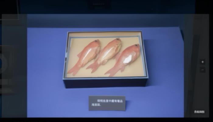 如視x上海公安博物館：觀數(shù)字博物館，探公安輝煌史