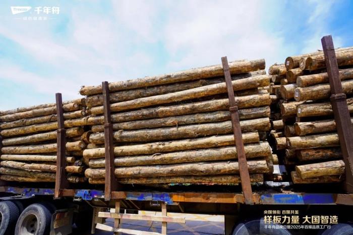 樣板力量·大國智造丨2025千年舟品牌日「百媒工廠行」，共探智能制造價值標(biāo)桿