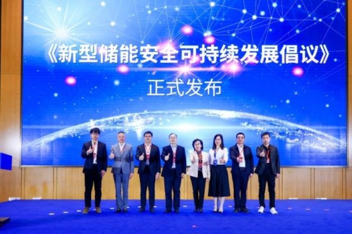 海辰儲能龐文杰出席中促會儲能分會成立大會并作行業(yè)行動倡議發(fā)布