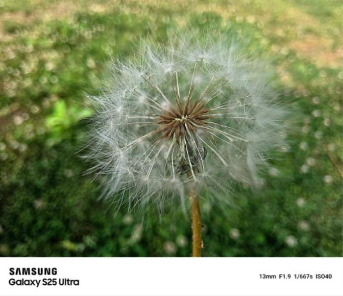 從超廣角風(fēng)光到遠(yuǎn)景特寫(xiě) 三星Galaxy S25 Ultra一機(jī)掌握全視野