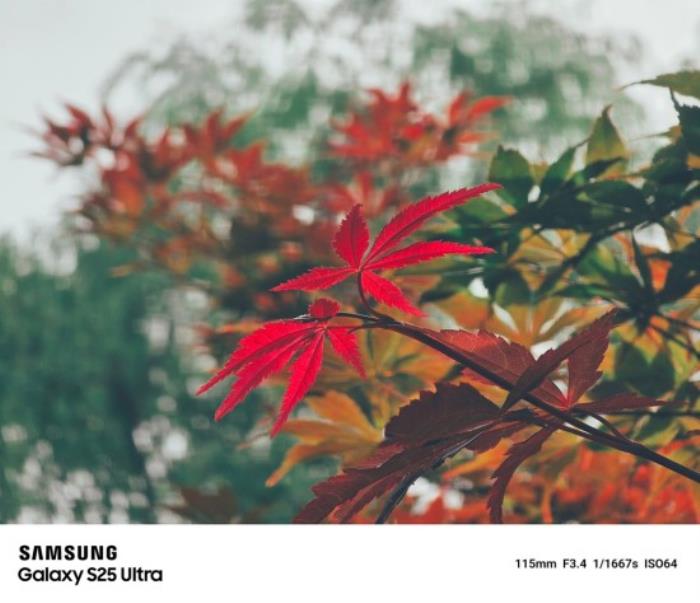 從超廣角風(fēng)光到遠(yuǎn)景特寫(xiě) 三星Galaxy S25 Ultra一機(jī)掌握全視野