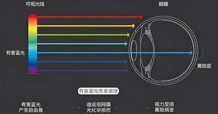 愛眼日特別關(guān)注：當(dāng)我們?cè)诳雌聊粫r(shí)，眼睛正在經(jīng)歷什么？