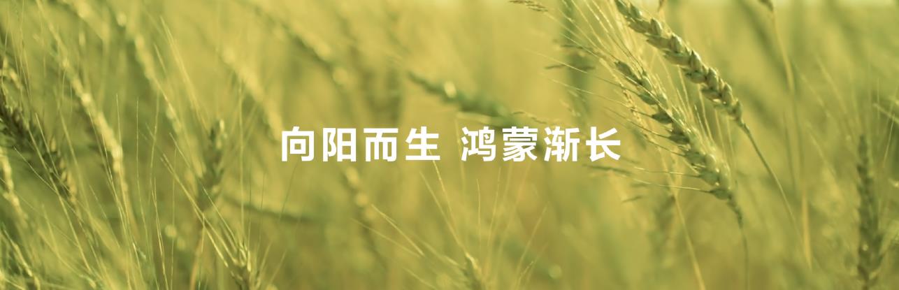 鴻蒙系統(tǒng)級(jí)AI賦能，華為閱讀不斷拓展數(shù)字閱讀邊界