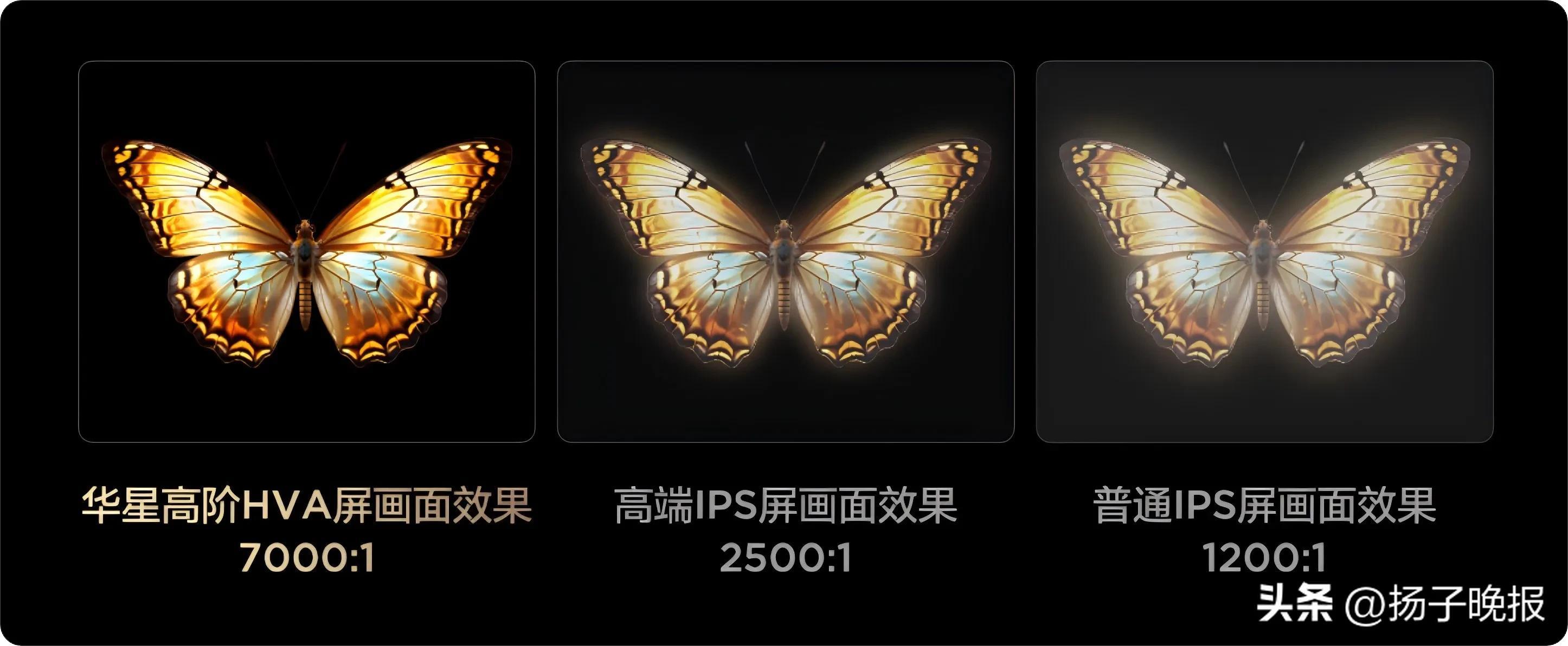 用領(lǐng)先技術(shù)破局，TCL電視以技術(shù)普惠戰(zhàn)略樹立行業(yè)標(biāo)桿