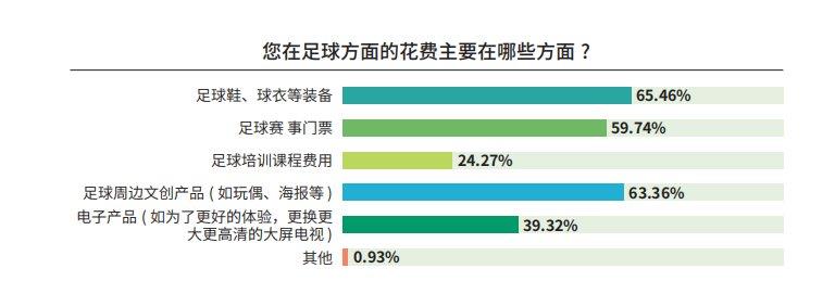 《中國足球環(huán)境及未來發(fā)展白皮書（2025）》發(fā)布：100吋大屏電視成球迷客廳新標(biāo)配